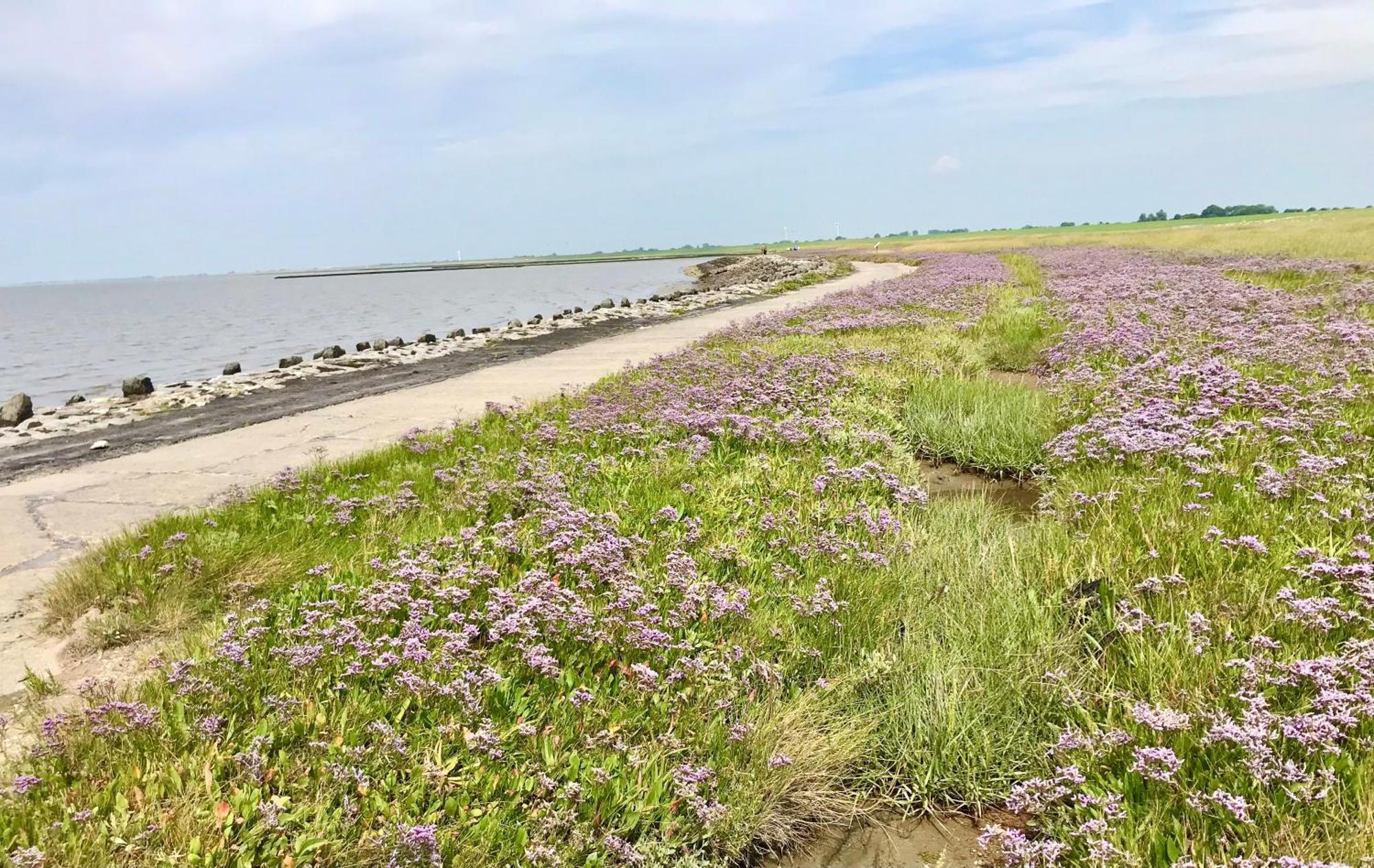 Haus Meerauszeit - Erholung An Der Nordsee